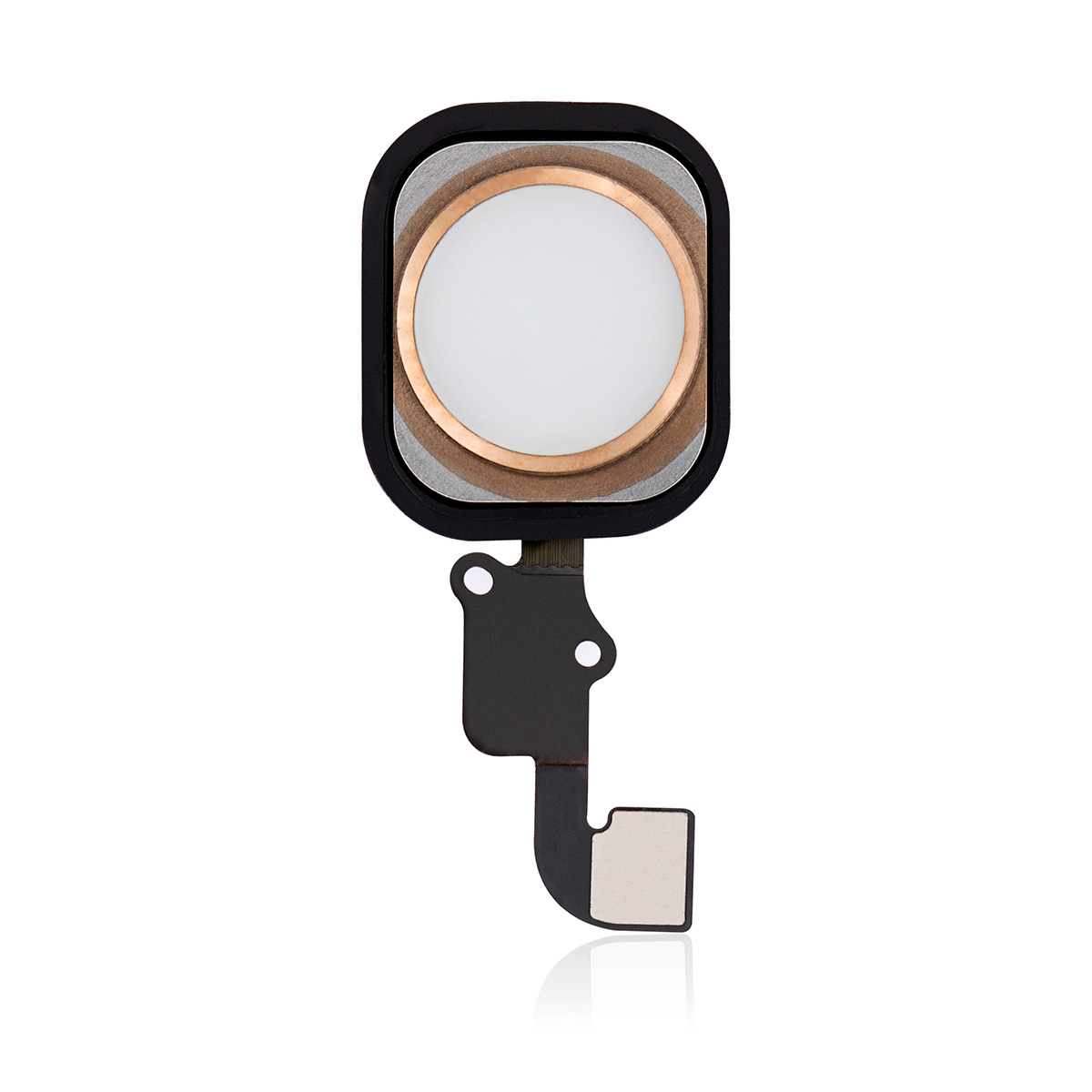 Boton home iPhone 6/6 Plus